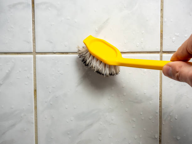 Best Affordable Mold Removal  in Yellville, AR
