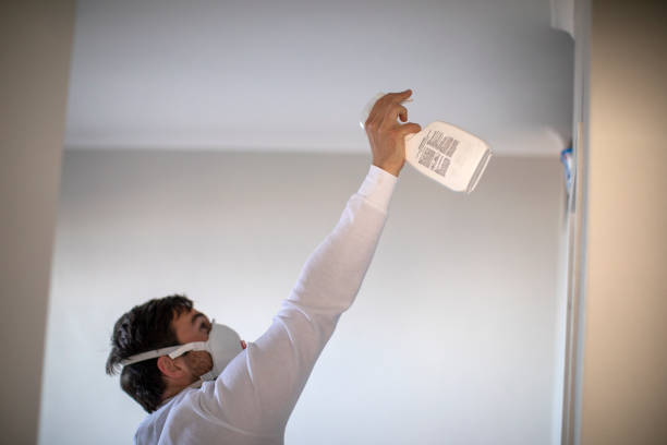 Best Home Mold Removal  in Yellville, AR