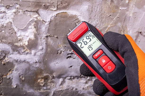 Best Mold Damage Repair  in Yellville, AR
