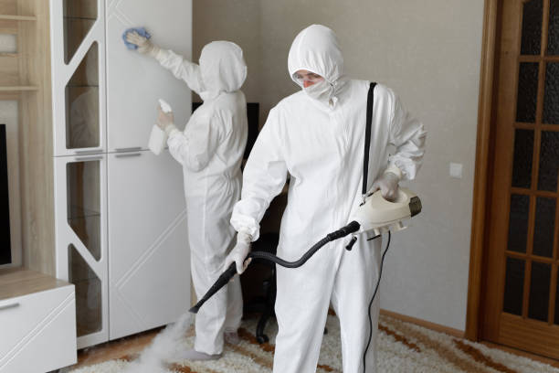 Best Attic Mold Removal  in Yellville, AR