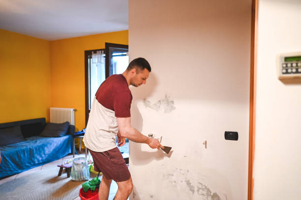 Best Certified Mold Removal  in Yellville, AR