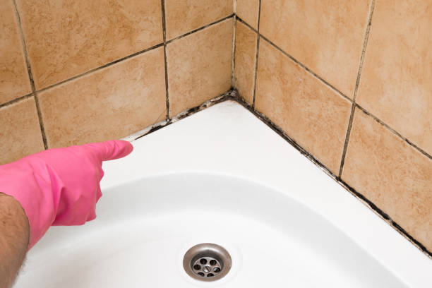 Best Residential Mold Removal  in Yellville, AR